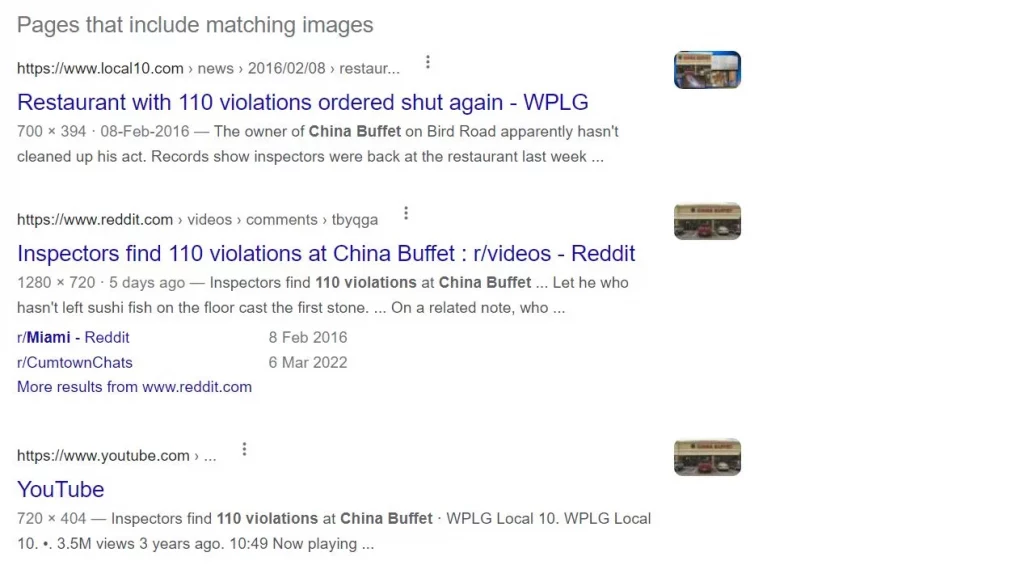 Reverse Video Search result 